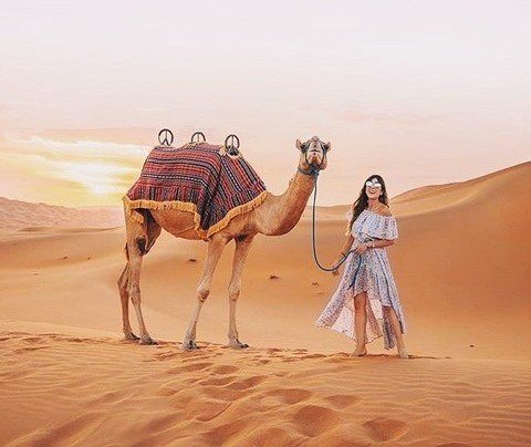 Camel Safari in Dubai